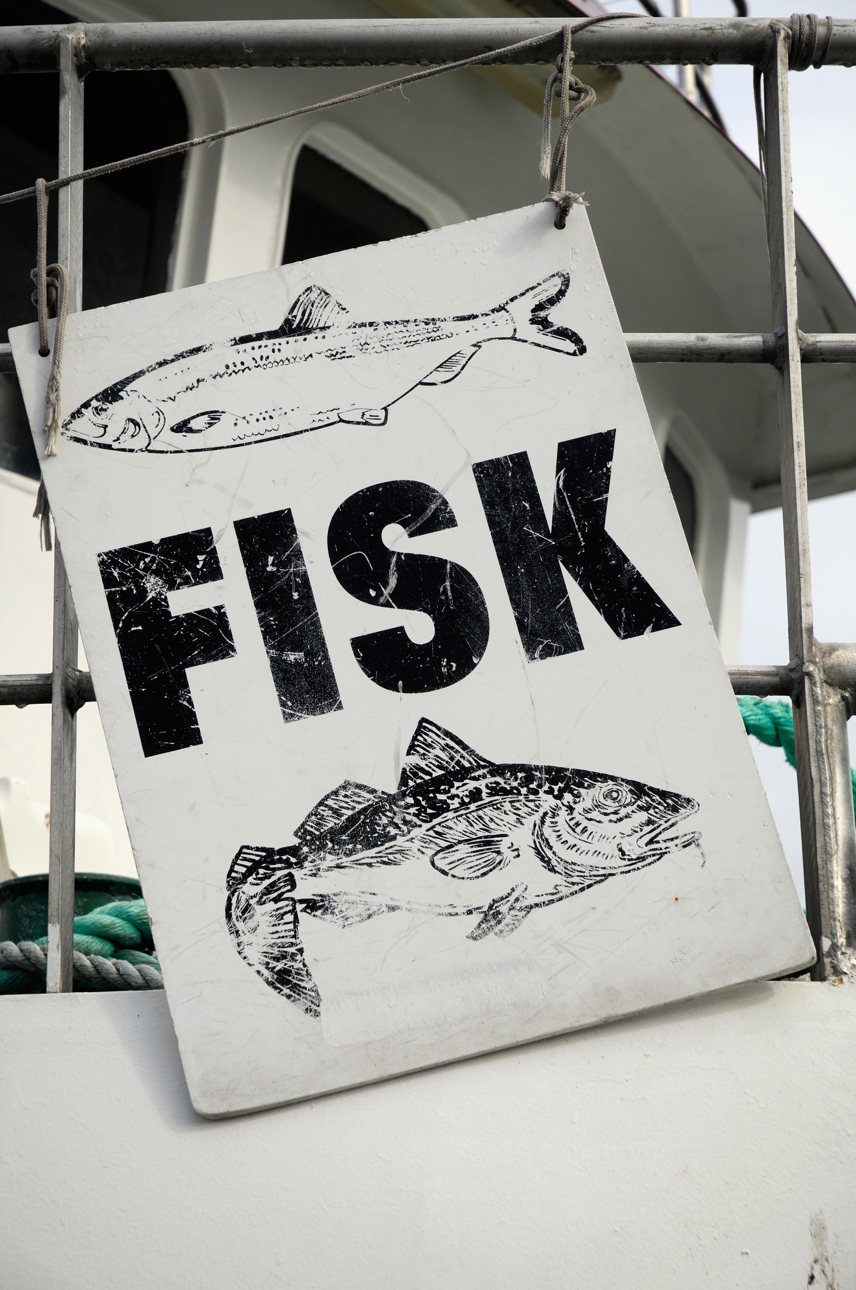 Fish sign