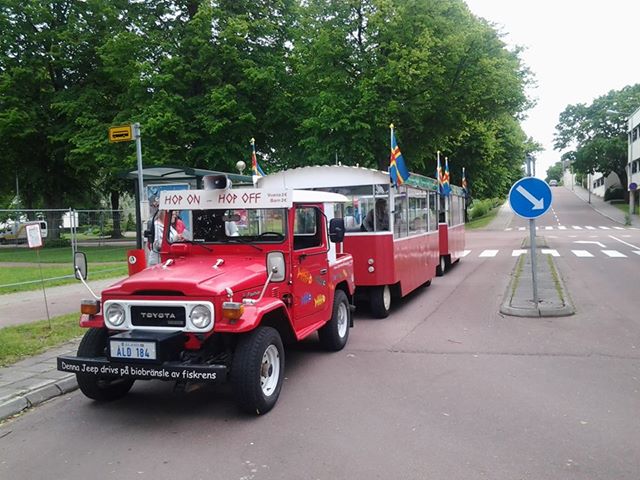 Vehicles running on Fish biodeisel