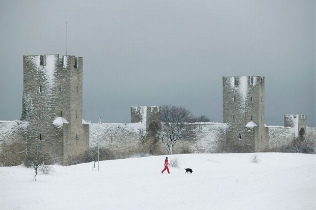 The stonewall surrounding Visby at Gotland. Photo: STIG HAMMARSTEDT, PRESSENS BILD 