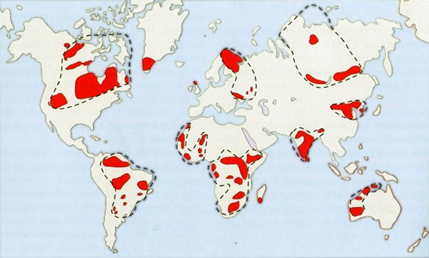 The world´s highly prospective mineral regions. Map provided by Risto Pietilä