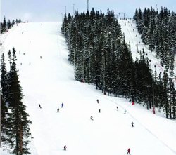  	A typical Nordic downhill slope. Here from Sälen in Sweden. Photo: Robert Ekegren / SCANPIX